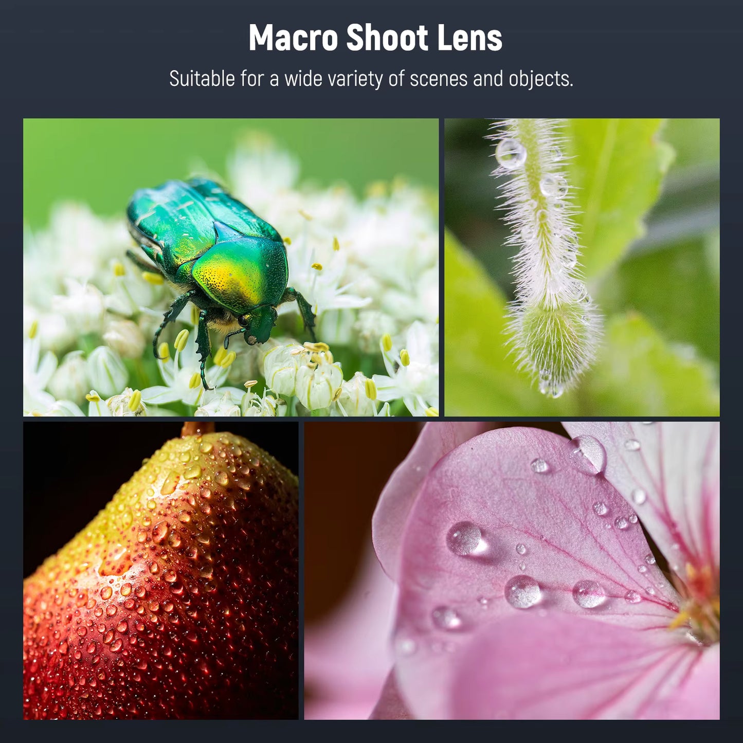105mm Macro Lens